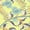 Lime, variant on Women's Floral Button Front Tunic Top