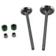 thumbnail image 1 of VALVULA ADMISION/ESCAPE SET ITALIKA FT 150 (13-16), FT 150 GT (11-13), 1 of 3