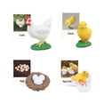 thumbnail image 1 of Figuras de , juguetes, ciencia biológica, modelo de etapa de crecimiento, figuras de animales, Juguetes Pollo Zulema Juego de crecimiento, 1 of 8