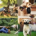 thumbnail image 4 of Juguetes Masticables Duraderos Yipetor Multicolor Diseño Convexo para Perros, 4 of 6