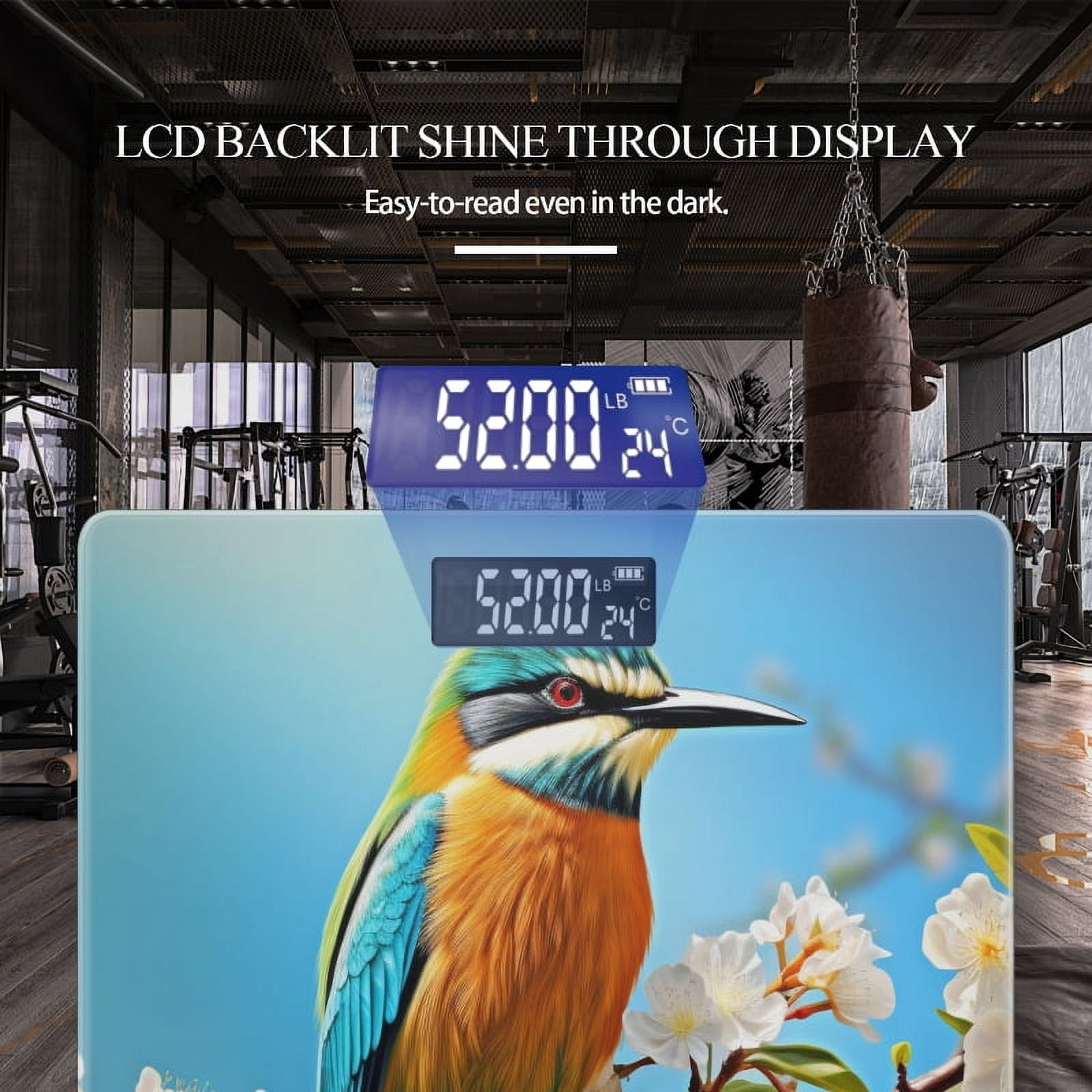 High Precision Body Weight Scale Smart Bathroom Scales with Large LCD Display(400lbs),Decorative for Bedroom-Beautiful Bird On Flowering Branch