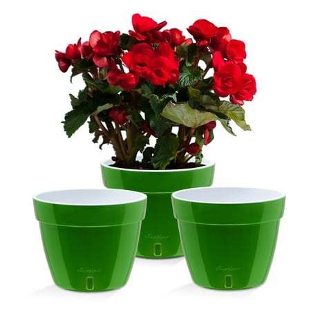 ?? Santino ASTI 11.8 Inch Self Watering Planters GREEN-GOLD/WHITE (Set of 3) for Indoor Plants - Modern Plastic w/ Water level Indicator for All House Plants  African Violets and Dahlias