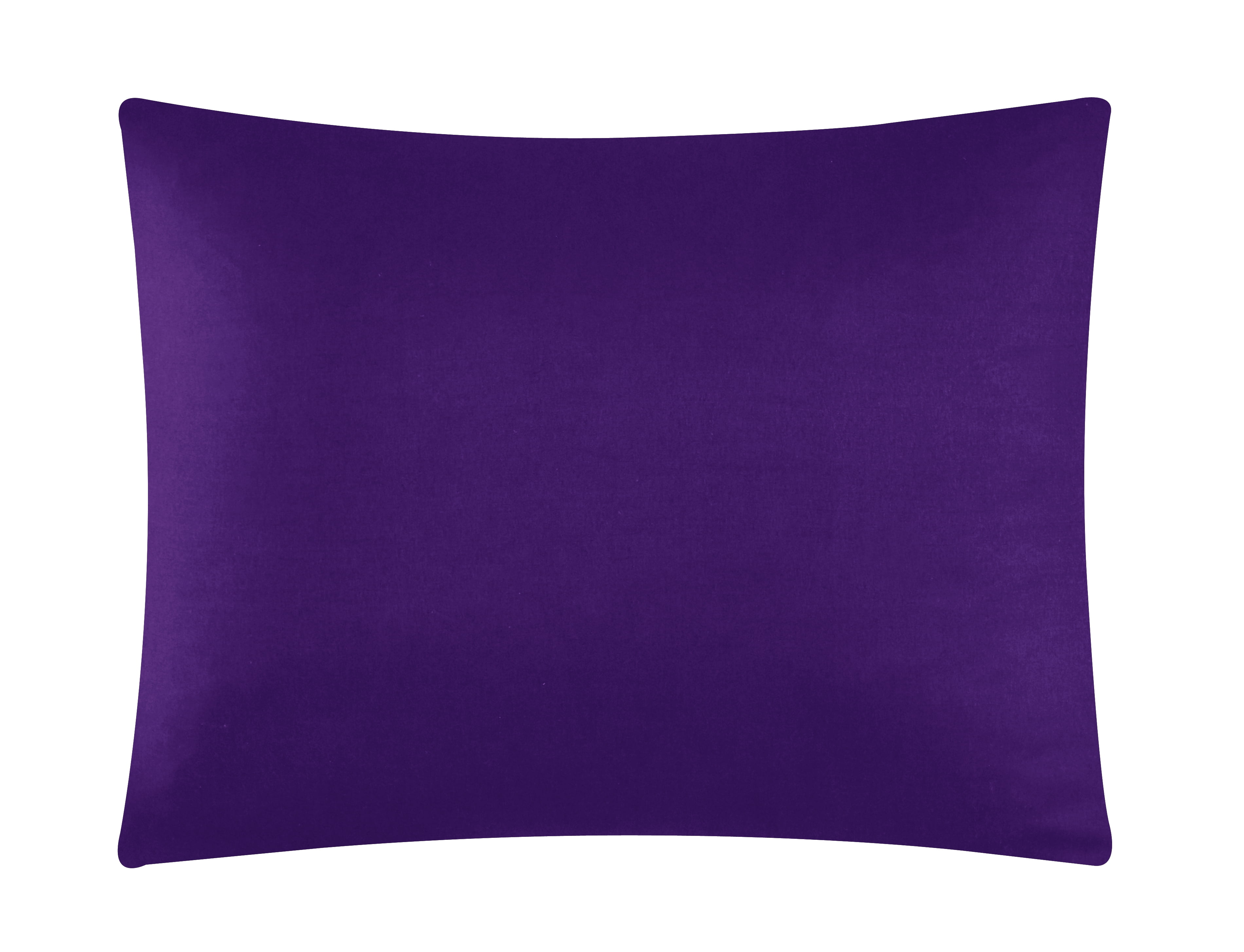 Pop Shop University 2 Piece Comforter Set, Twin XL, Purple, Polyester