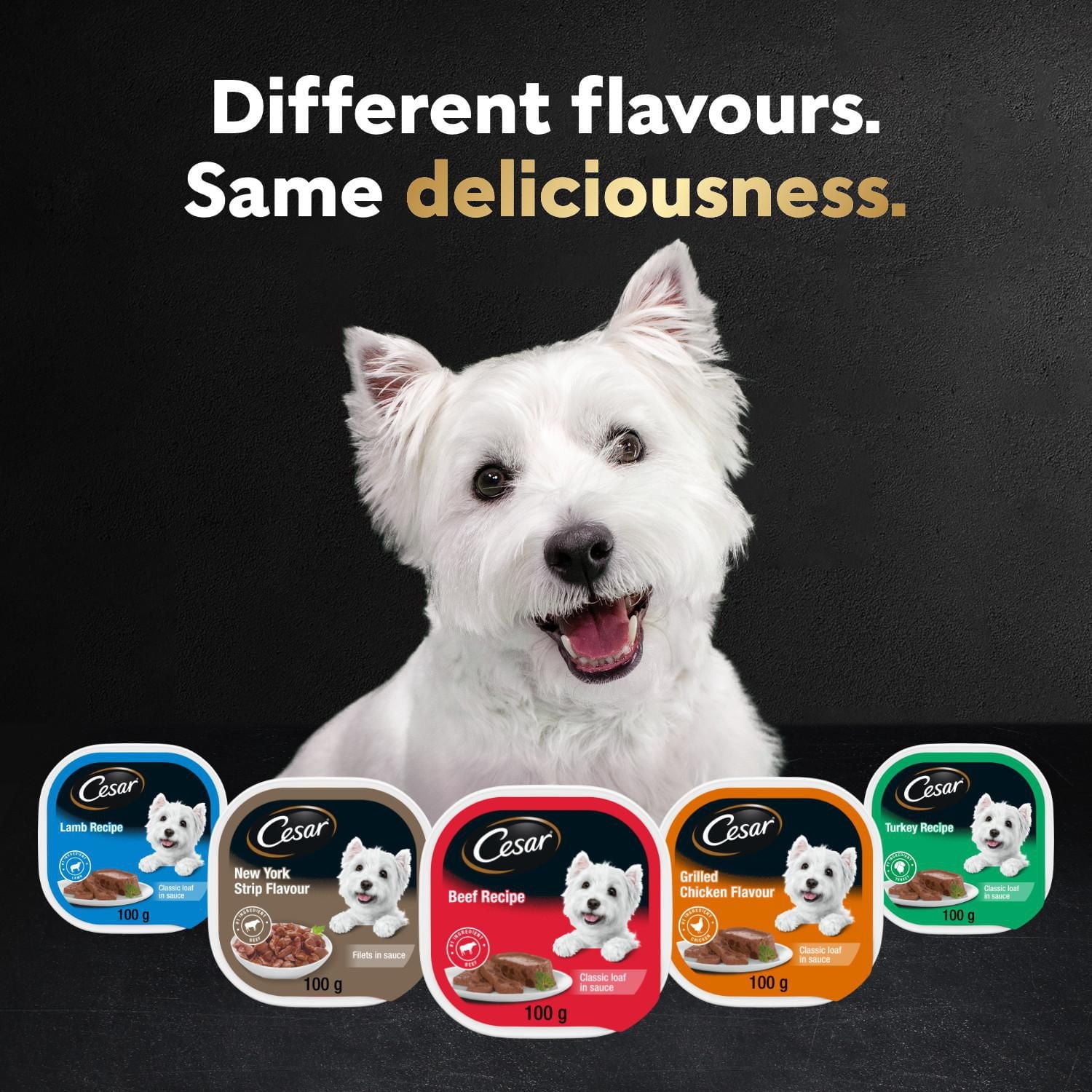 CESAR Classic Loaf in Sauce Wet Dog Food Delicacies Variety Pack, 24x100g Trays, 24x100g