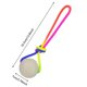 thumbnail image 3 of Pelota luminosa para cachorros que brilla en la oscuridad Pelota luminosa para cachorros con cuerda Pelotas de goma luminosas para cachorros pequeños, grandes y medianos Brilla en la oscuridad, 3 of 4