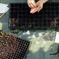 thumbnail image 4 of Nestingho 30Jgo Kit Hidropónico Con Macetas Transparentes Y Tapa Para Germinación De Plantas En Casa, 4 of 7