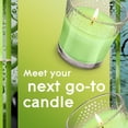 thumbnail image 3 of Glade Scented Candle Jar, Bamboo & Waterlily, Fragrance Infused with Essential Oils, 3.4 oz, Pack of 2, 3 of 16