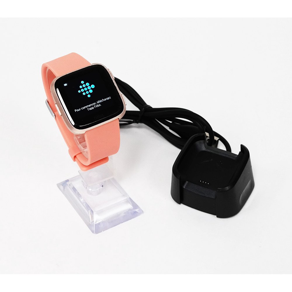 fitbit mn fb504