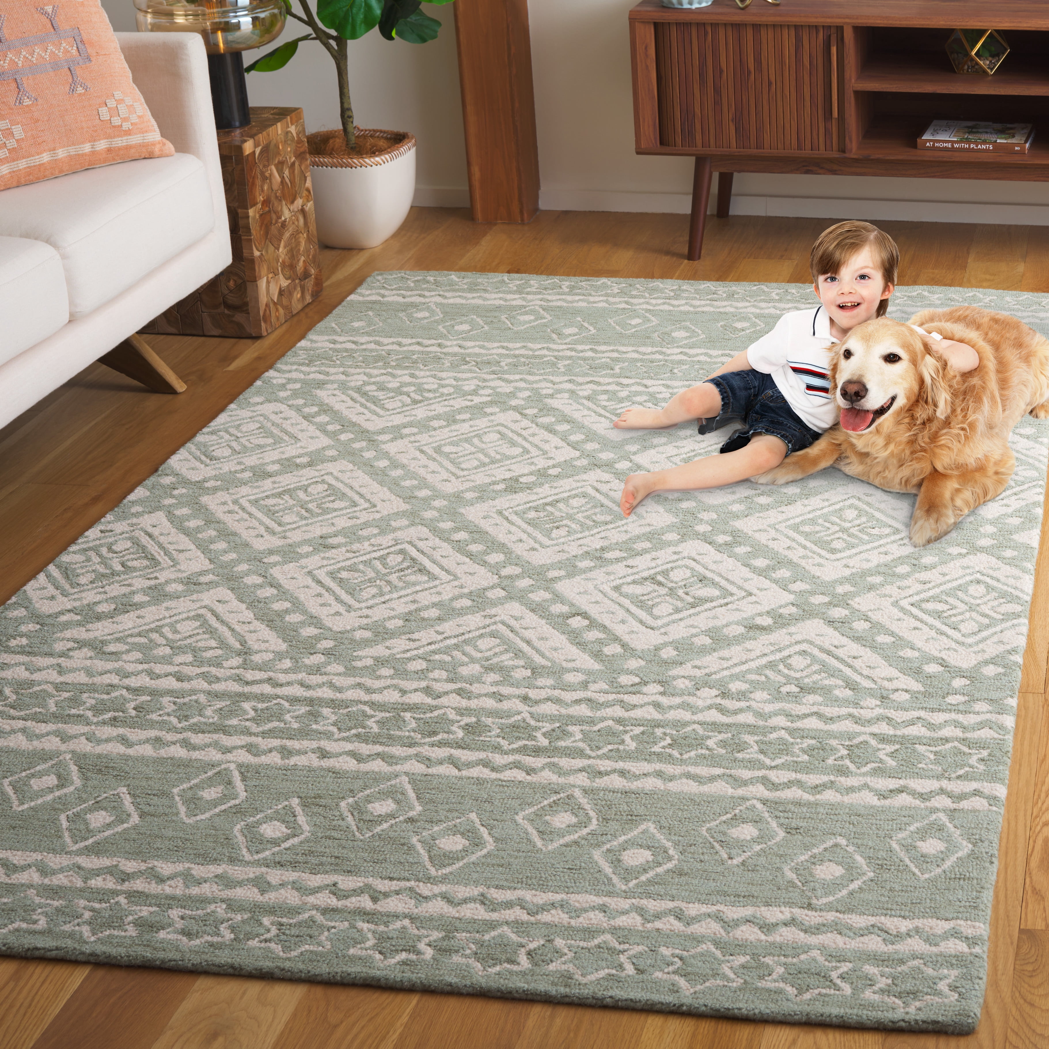 SAFAVIEH Micro-Loop Regis Geometric Area Rug, Sage/Ivory, 4' x 6'