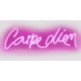 thumbnail image 3 of Carr, Hailey 14x9 Black Modern Framed Museum Art Print Titled - Neon Carpe Diem PW, 3 of 5