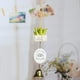 thumbnail image 2 of Campana de Windchime con Ornamento Suculentas Feng Shui Simbolismo de Soledad Campana colgante de latón, 2 of 5