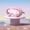 Pink, variant on Kids Swim Goggles, Anti-Fog Leak-Proof Swimming Goggles with Cute Dolphin Design for Boys & Girls Ages 4-16, Multiple Colors Available