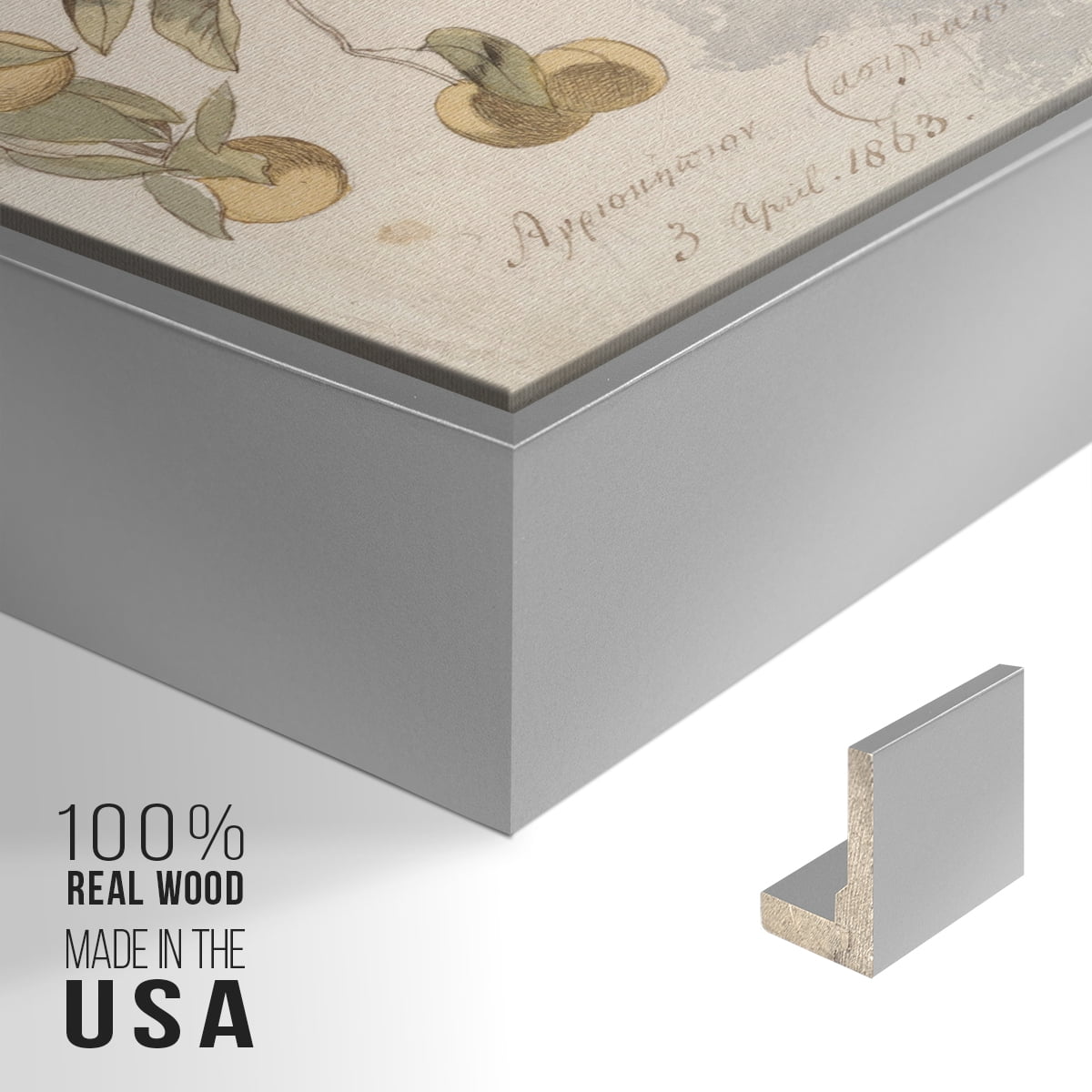 Vintage Botanical Print-IV By Wexford Home Framed in Silver Wood Gallery Wrapped Canvas 25 in. x 37 in.