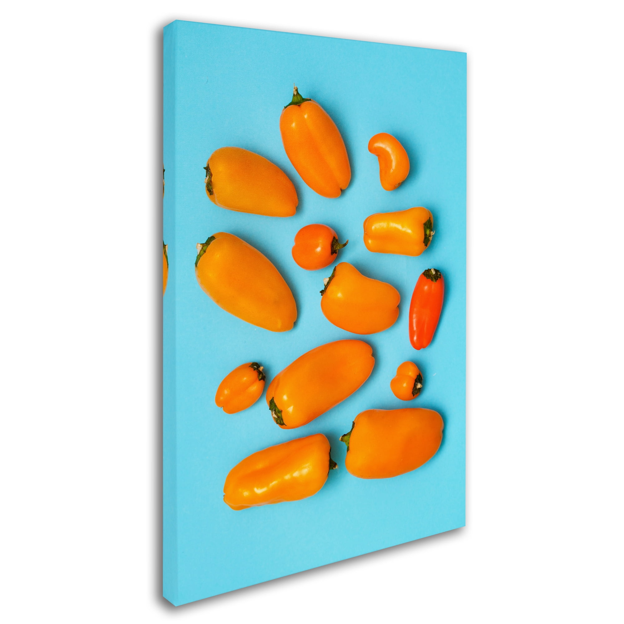 Trademark Fine Art 'Orange And Blue' Canvas Art by Sarah Saratonina