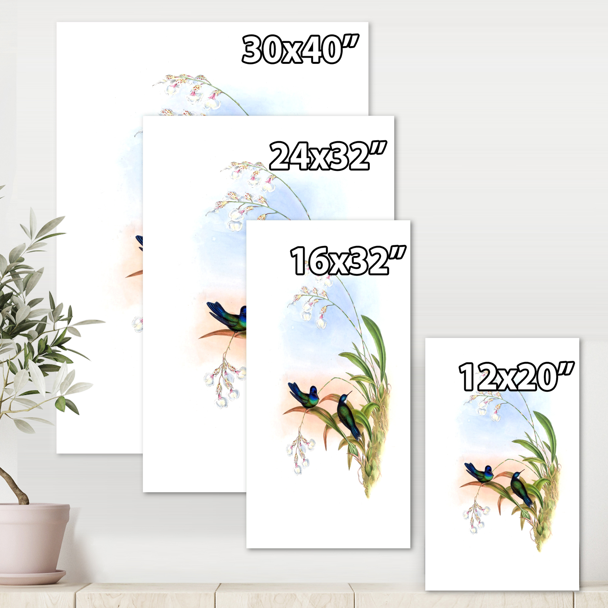 Designart ' Ancient Hummingbird III ' Traditional Canvas Wall Art Print