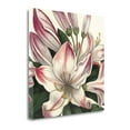thumbnail image 2 of Botanique Square II Canvas Wall Art By Wild Apple Portfolio, 2 of 2