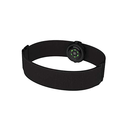 Polar OH1+ Optical Heart Rate Sensor, Bluetooth/ANT+, Black