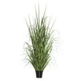 thumbnail image 1 of X170 Herbe de Tous les Jours sur Pot - 24 Po., 1 of 1