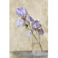 thumbnail image 2 of Murdock, Ramona 23x32 Black Ornate Wood Framed with Double Matting Museum Art Print Titled - Blue Iris Stem, 2 of 4