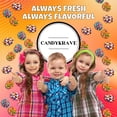 thumbnail image 4 of Nerds Assorted Gummy Clusters - 2 lbs Individually Wrapped Candy Pack - 46 Pieces - Classic & Delicious Gummy Candy for Back-to-School Party, Movie Nights, Birthdays, Pantry & Baby Showers, 4 of 7