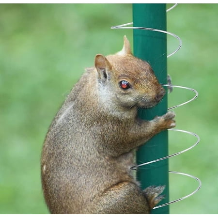 Squirrel Baffle Metal Spring Device Squirrel Barrier Spring Type Coil