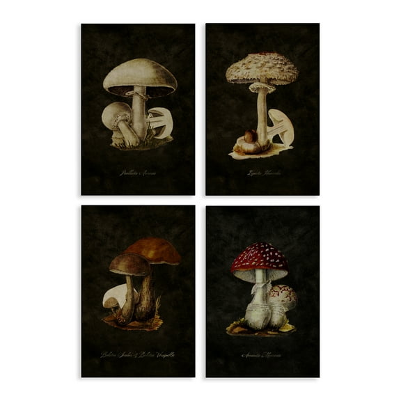 Stupell Industries Mushroom Genus Studies Plants & Flowers Painting Wrapped Canvas Art Print Wall Art, 16 x 24, Set of 4