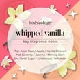 thumbnail image 2 of Bodycology Whipped Vanilla Body Cream, 8 oz., 2 of 11