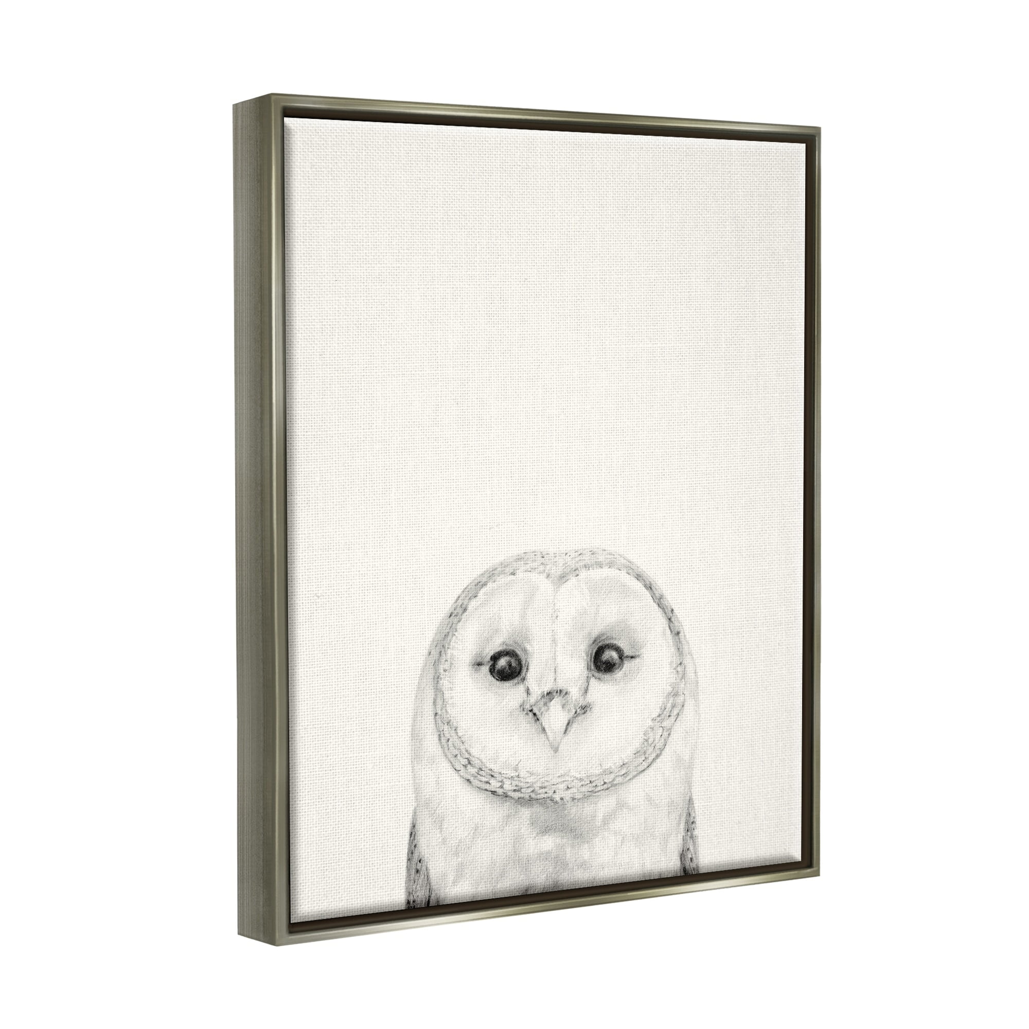 Stupell Industries Owl Portrait Grey Drawing Design Luster Gray Framed Floating Canvas Wall Art, 16x20, by Victoria Borges