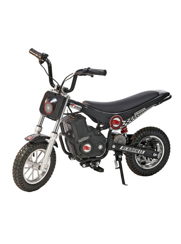 Electric Mini Bikes in Mini Bikes