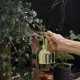 thumbnail image 4 of Fiudx Ofertas Flash Del Día Solo En Línea Botella Pulverizadora Para Plantas, Regadera De Acero Inoxidable Para Plantas De Interior, Bonsái Suculento, Spritzer Para Plantas De Interior, Herramientas, 4 of 7