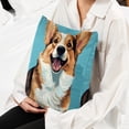 thumbnail image 6 of Corgi Sumptuous Velvet Throw Pillow Covers Set of 2, Decorative Bed Pillow Cases with Unique Patterns for Home Decor, Sizes 16x16, 18x18, 20x20 Inches, 6 of 6