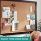 thumbnail image 2 of Magnetic Push Pins, Set of 20, Wall Bulletin Boards, Strong Decorative Push Pins, Picture Hanging Kit, 2 of 5