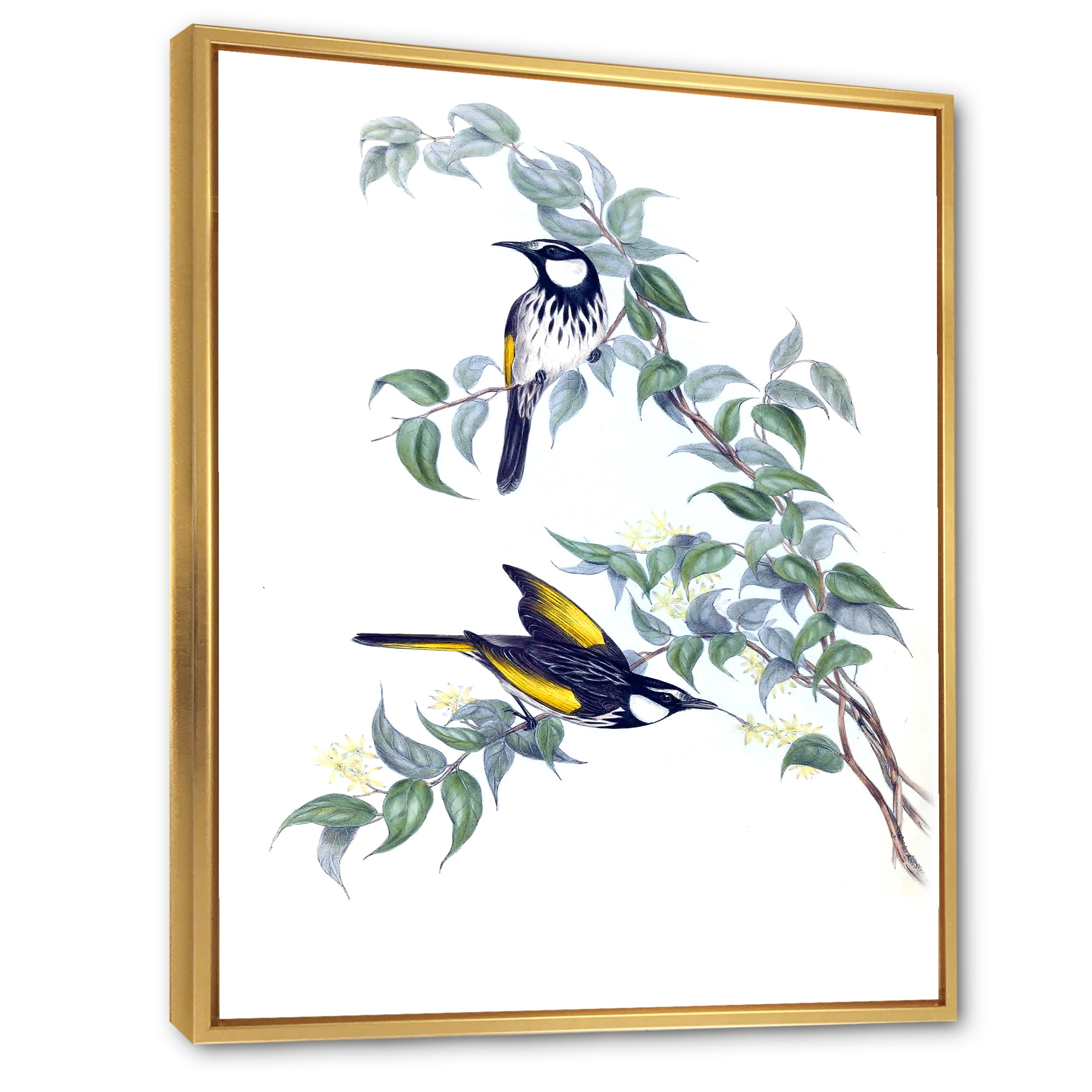 Designart 'Ancient Australian Birds On A Branch' Traditional Framed Canvas Wall Art Print