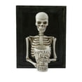 thumbnail image 2 of Adornos de Halloween, Decoración de Halloween, Marco de fotos de Halloween, Candelabro de esqueleto, Decoración de pared, Marco de fotos, Decoración de resina de esqueleto, Decoración, Candelabro de e, 2 of 9