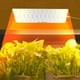 thumbnail image 1 of Luz LED botánica para plantas de interior, USB, colgante, 5 V, 5 segmentos, enchufe USB, múltiples modos de alimentación, función de temporización., 1 of 7