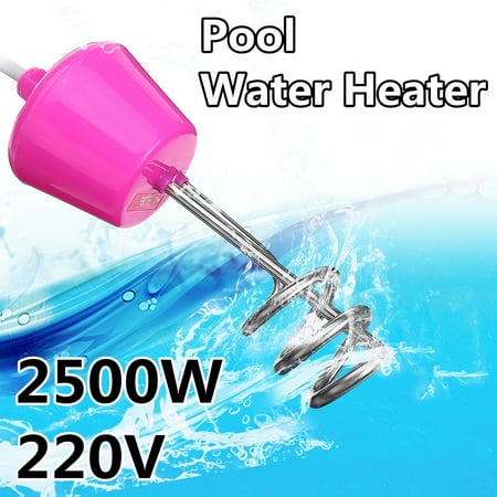 suspension immersion water heater for pool