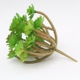 thumbnail image 4 of Worallymy 24 plantas suculentas artificiales verdes principales suculentas para el banquete de boda del hotel casero Worallymy JD720446077, 4 of 7