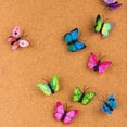 thumbnail image 5 of De Chinchetas Creativas De Mariposa, Decoración De Pared Fija De Corcho Fino Con Apariencia Única De Mariposa Para Fotos, Horarios, Documentos Scienceny EL008898-00, 5 of 5