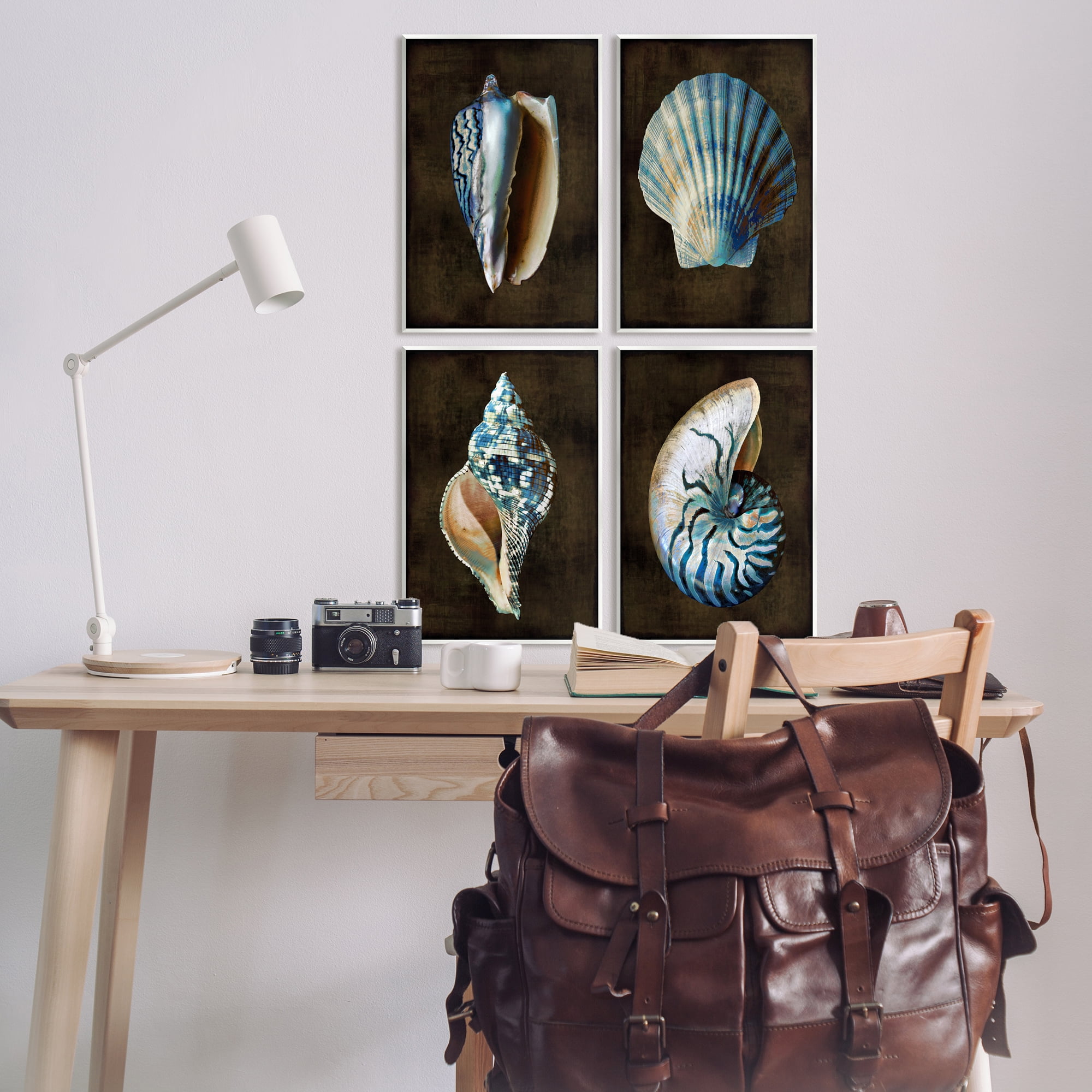 Stupell Industries Seashells on Black Animals & Insects Painting Unframed Art Print Wall Art, 13 x 19, Set of 4
