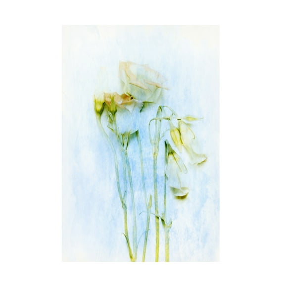 Canvas Wall Art - Delphine Devos 'The Unconscious Beauties' Wall Art for Living Room, Bedroom, or Office Décor by Trademark Fine Art - 12 x 19 Inches