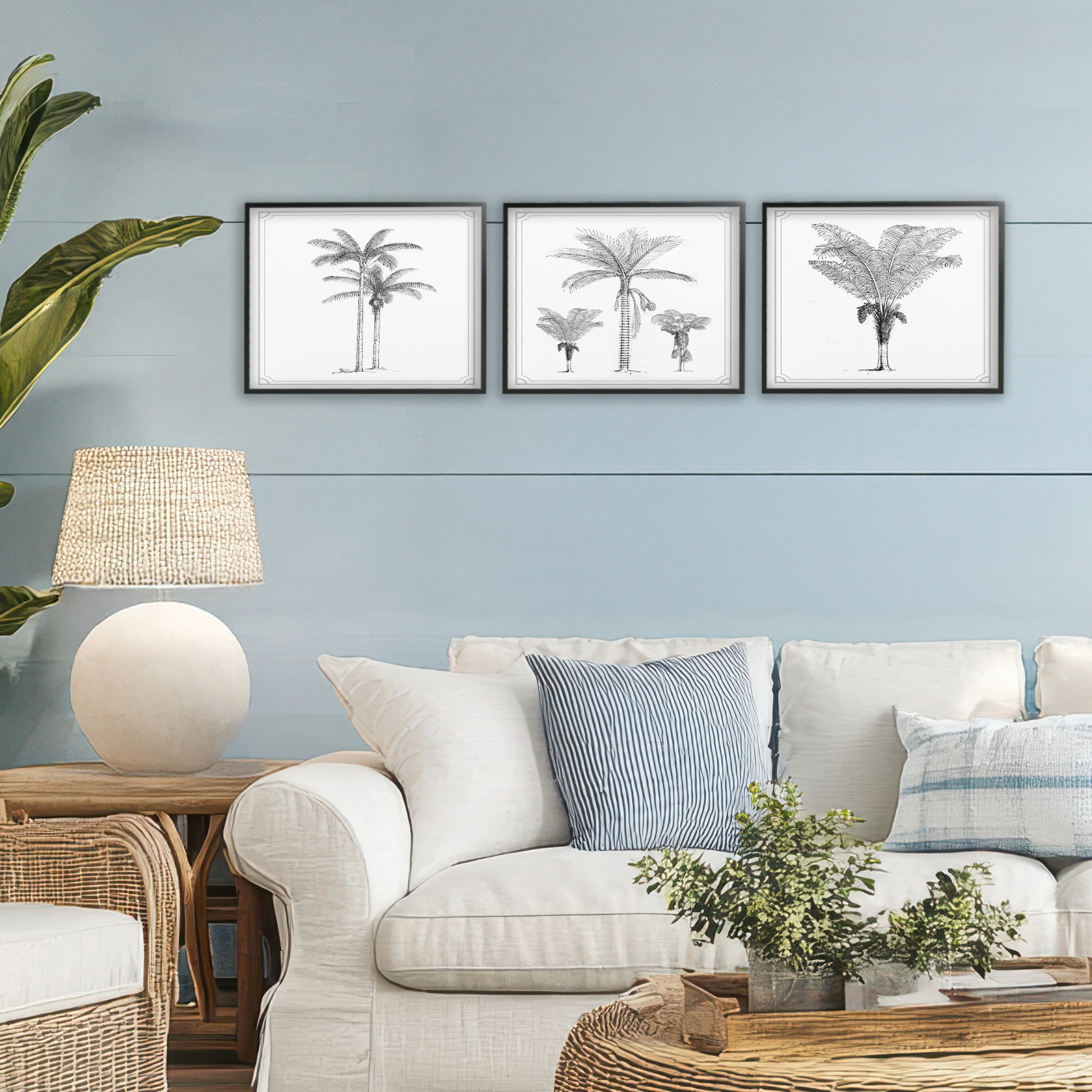 Minimal Vintage Palm Tree Sketches 3 Piece Black Framed Giclee Art Set, design by Lettered and Lined