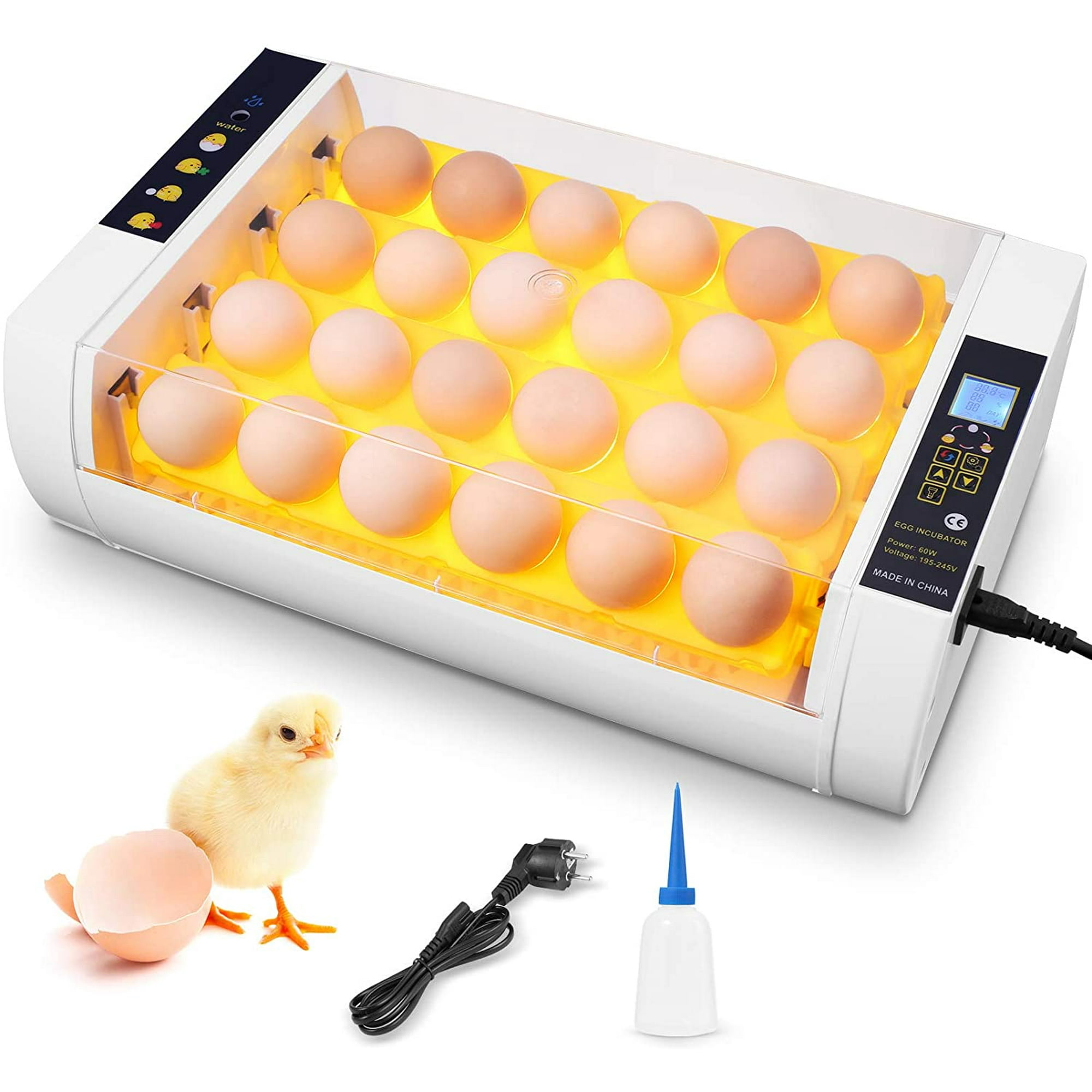Инкубаторное яйцо купить. Инкубатор Egg incubator. Инкубатор для яиц Egg incubator QC Pass 04. Egg incubator DC 12v. Инкубатор ЭГГ бох.
