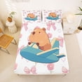 thumbnail image 5 of Erosebridal Funny Capybara Full Size Sheets,Blue Aircraft Airplane Bed Sheets For Capybara Lovers 4pcs, 5 of 6