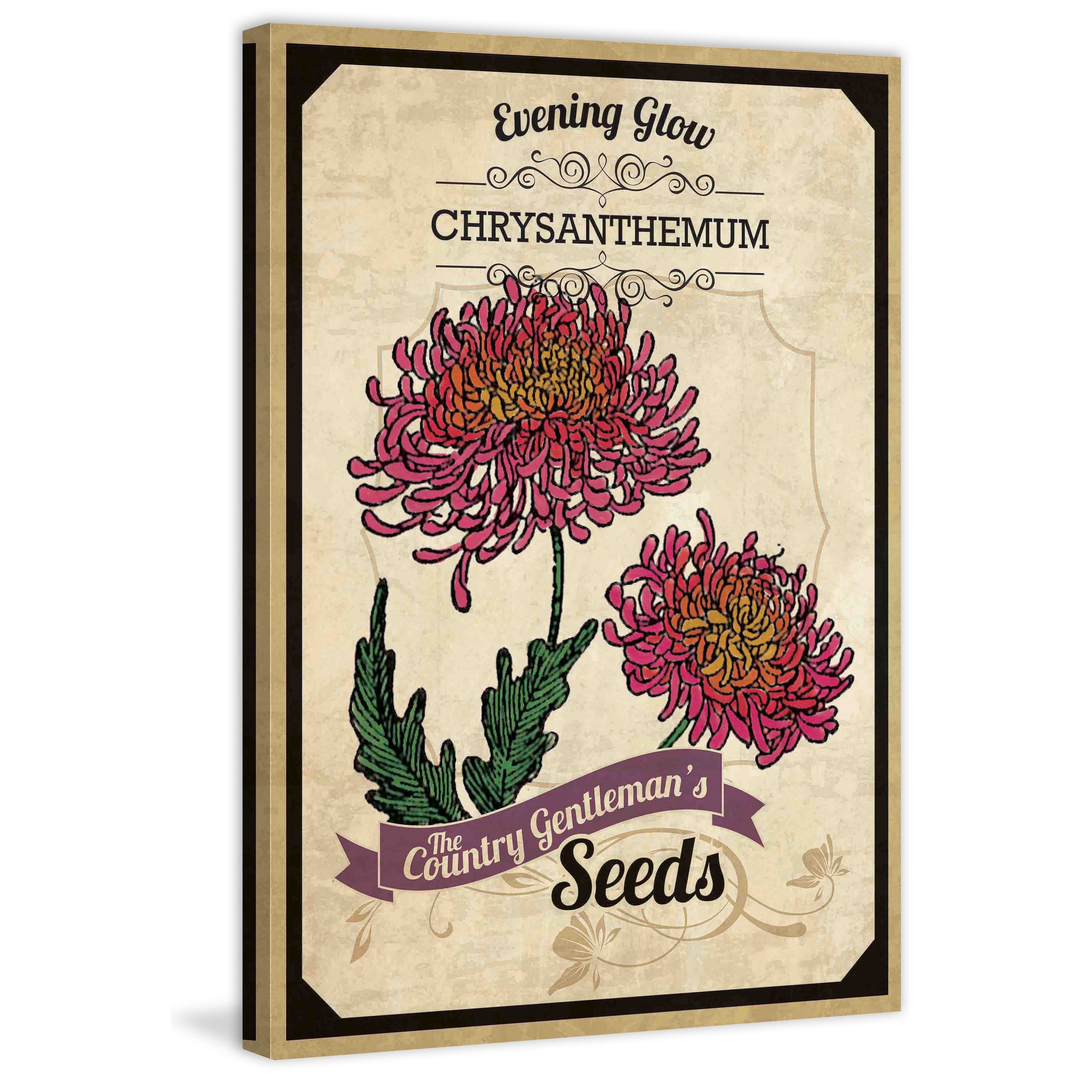 Marmont Hill "Flower Packet Chrysanthemum" Painting Print on Canvas