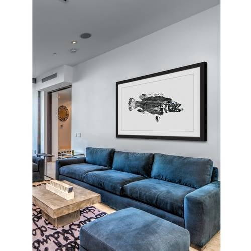 "Emperor Bass" Framed Painting Print