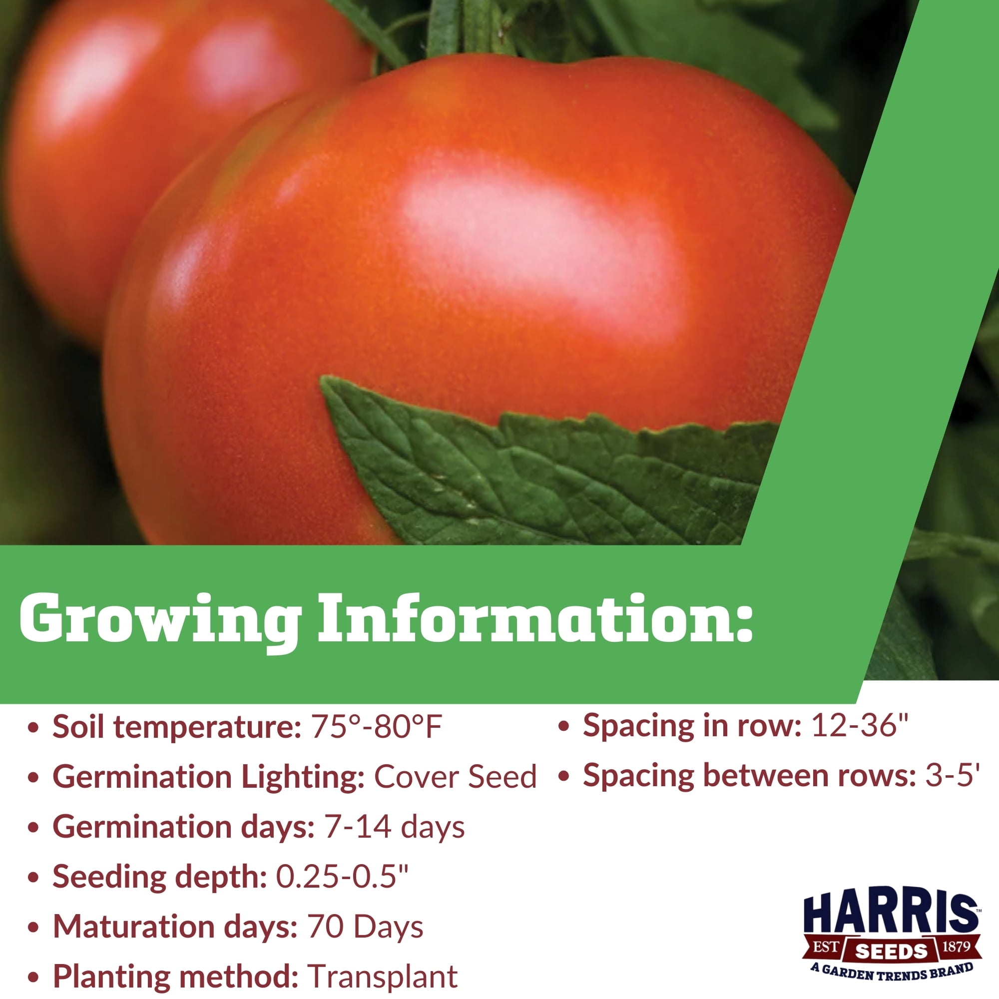 Harris Seeds 117935 Tomato Moreton Hybrid F1 Plant Seeds