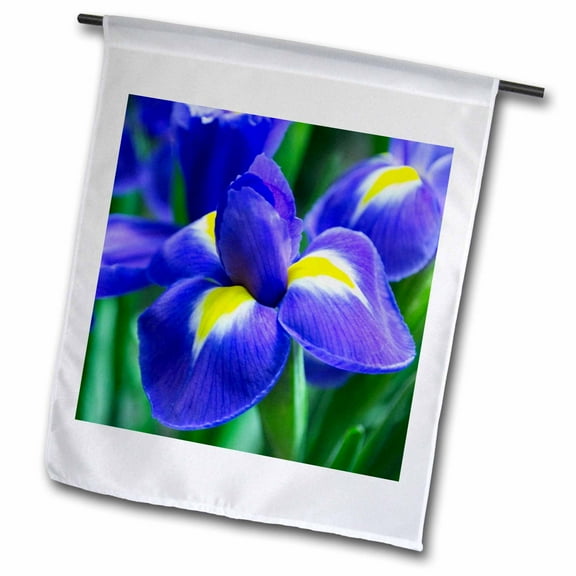 3dRose, Purple Iris Closeup, 12 x 18 inch Garden Flag