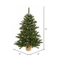 thumbnail image 2 of Vickerman 36" Anoka Pine Artificial Christmas Tree, Warm White Dura-lit LED Lights, 2 of 6