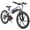 White, variant on JOYSTAR Radspur Electric Bike 20" with 250W Brushless Motor, 15 Miles 15MPH Electric Mountain Bicycle with Removable Battery, Green
