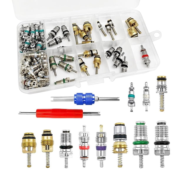 102 Piezas Núcleo Válvula Aire Acondicionado, Kit Accesorios Núcleo Válvula Aire Acondicionado R12 R134a, Surtido Herramientas Reparación Núcleos Vástago Válvula